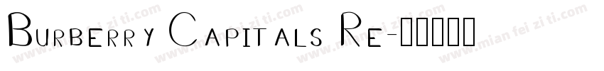 Burberry Capitals Re字体转换
